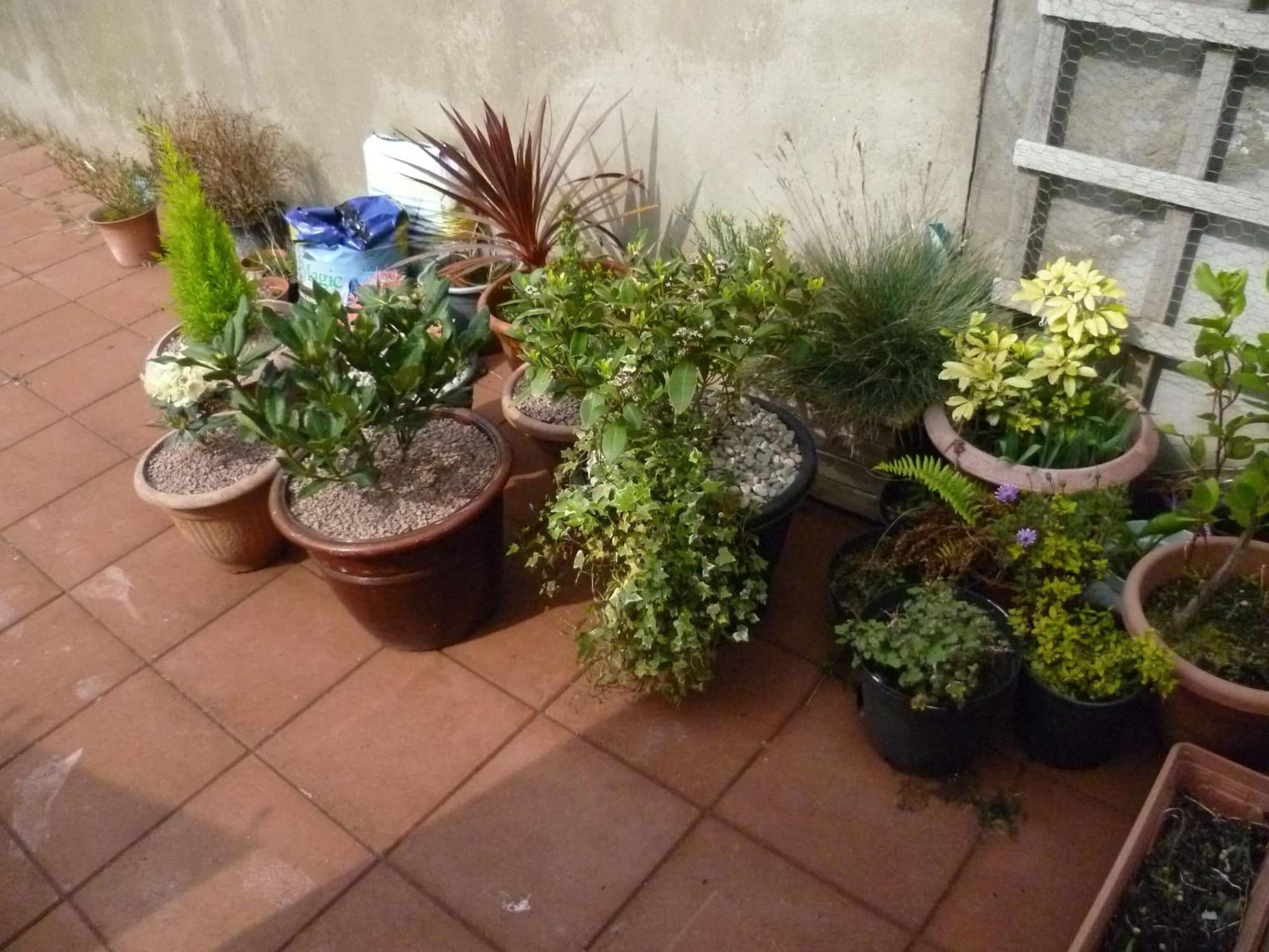 Equipamiento de Habitación Homely wee House