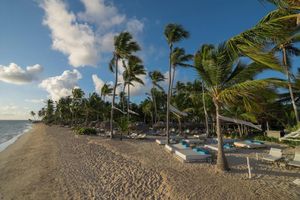 Alojamiento - Catalonia Royal Bavaro All Inclusive
