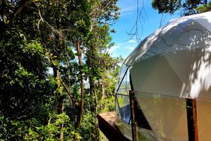 Alquiler Vacacional - Chira Glamping Resort Monteverde