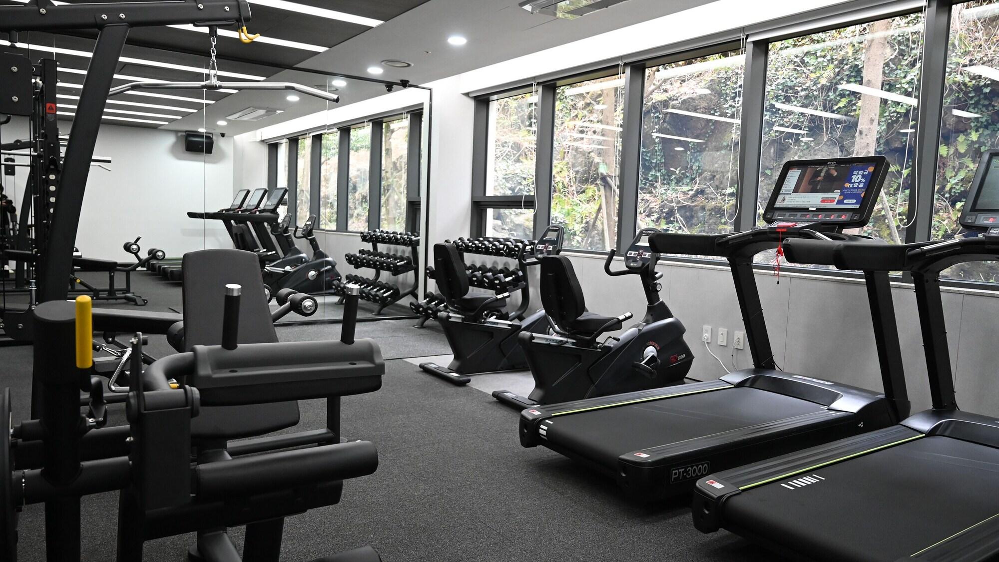 Gimnasio The Annex