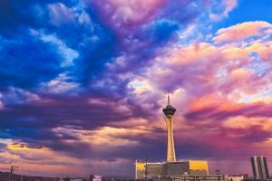Actividad - Entrada a Stratosphere Tower