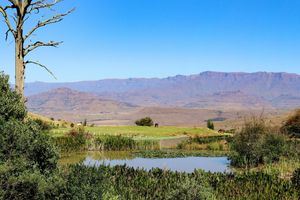 Alojamiento - Little Switzerland Resort