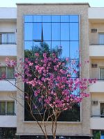 Alojamiento - Vip Hotel