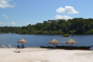 Alojamiento - Amazon EcoPark Jungle Lodge