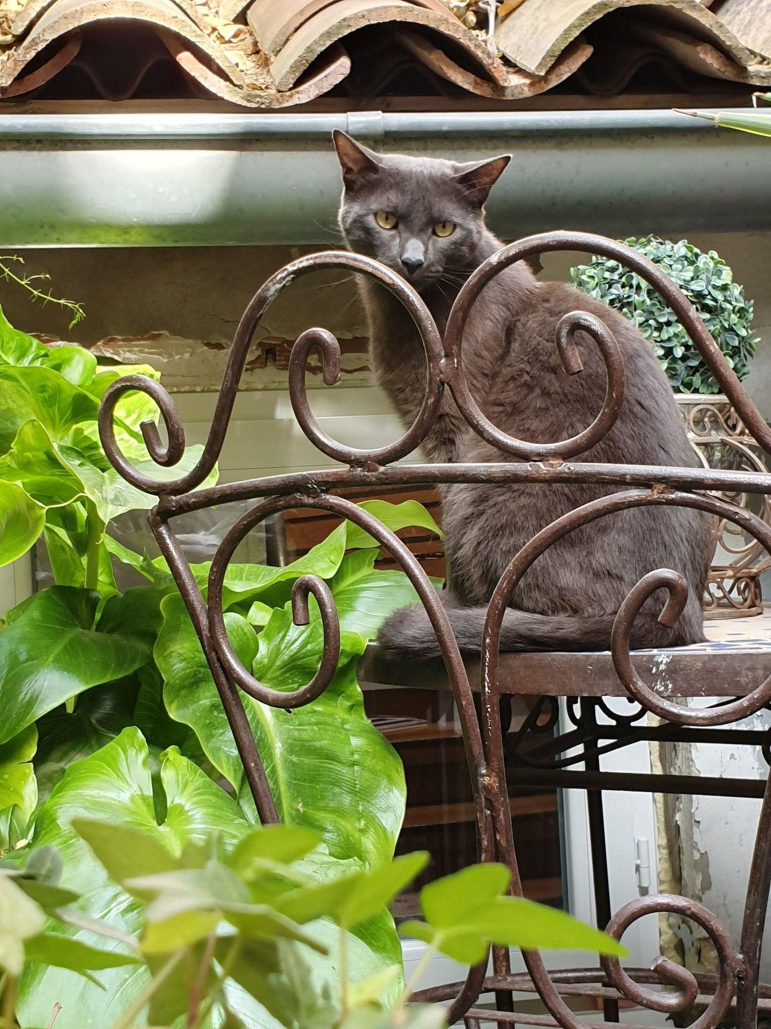 Vista Exterior Hôtel Boquier