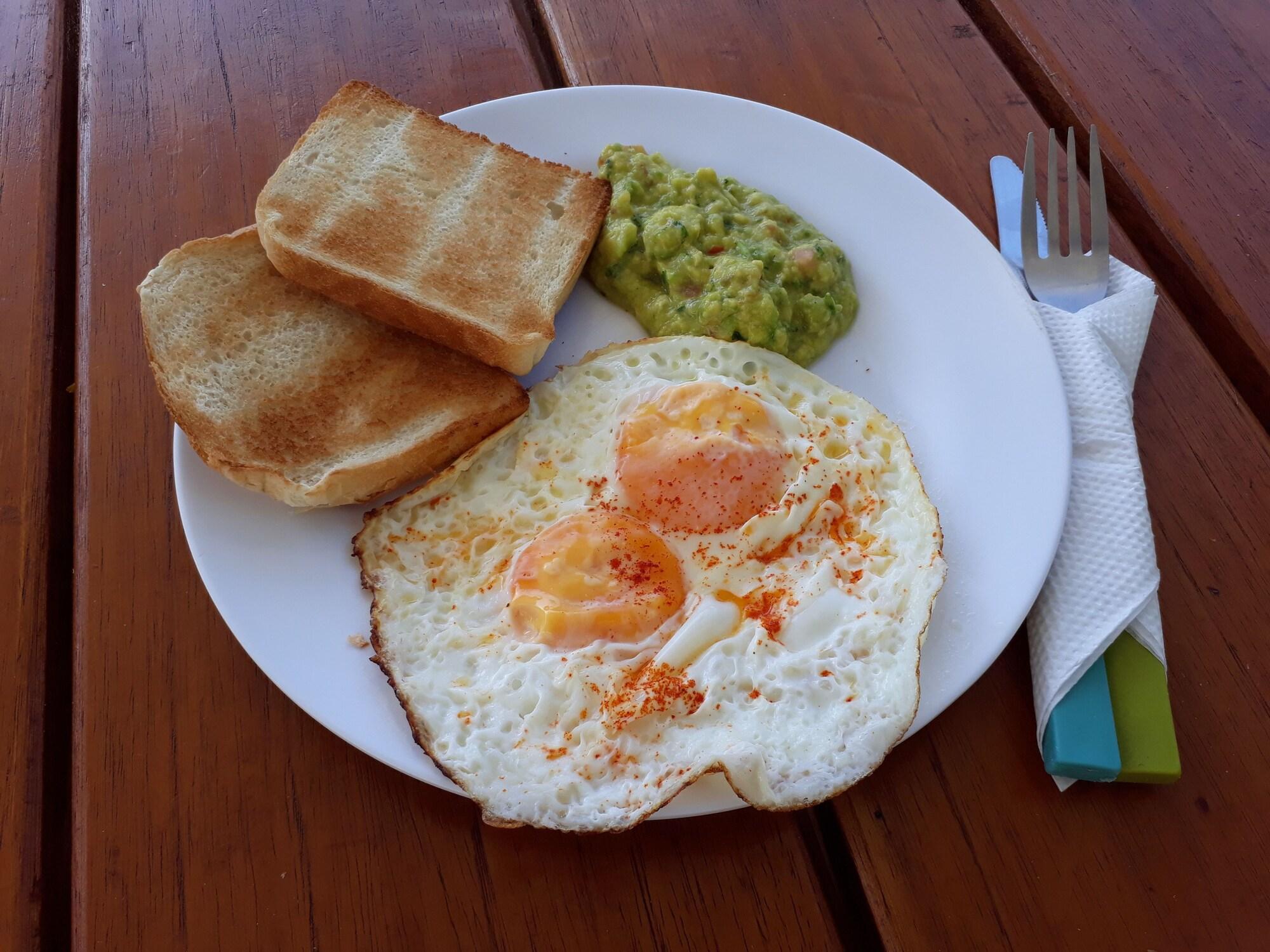 Restaurant Noah boutique hostels Medellín