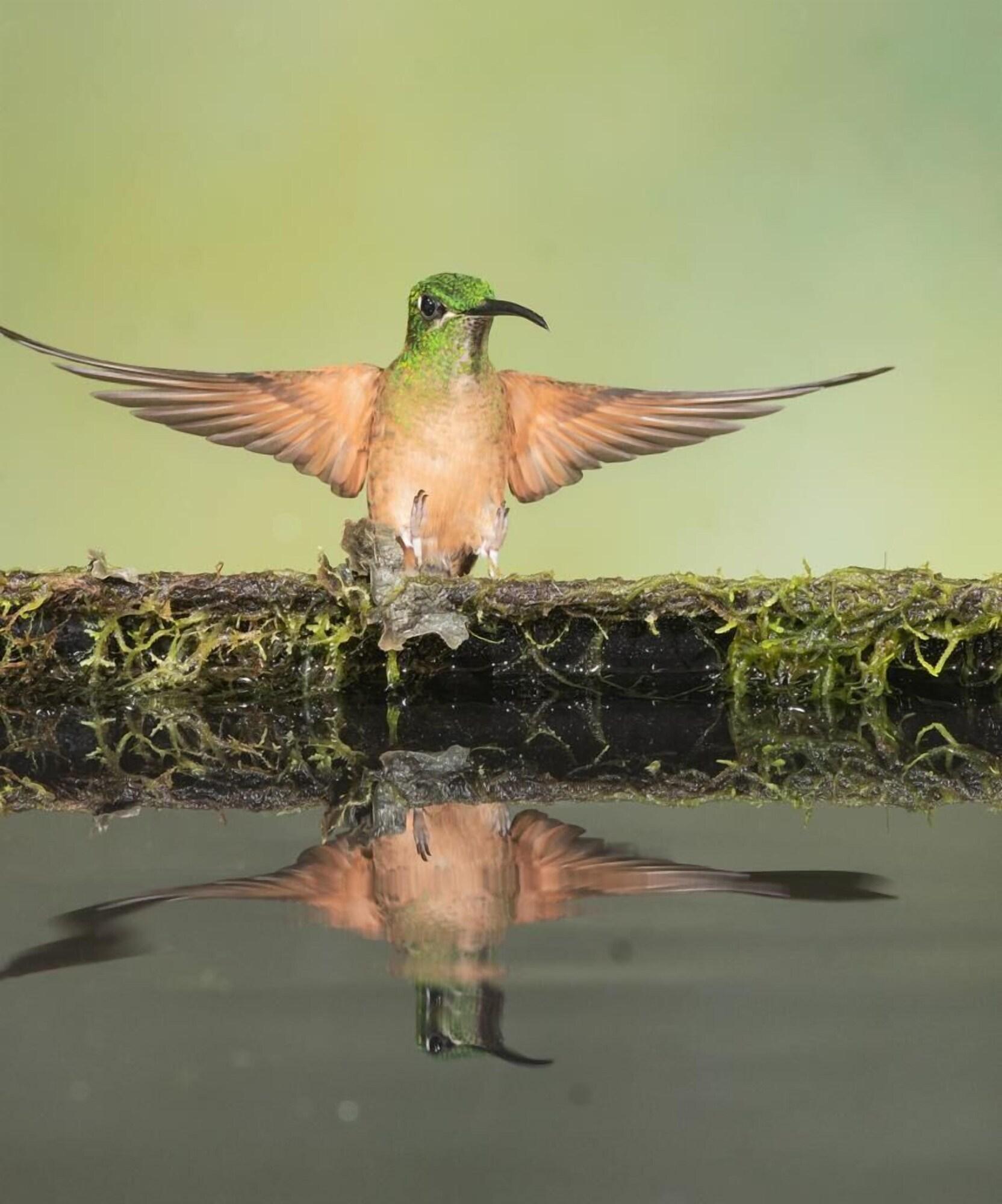 Vista Exterior Birdwatcher's House