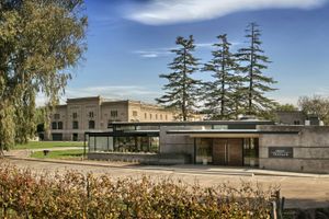 Actividad - Degustación y Almuerzo Opcional en Bodega Trapiche