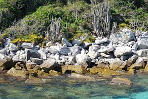 Actividad - Paseo en barco por Arraial do Cabo