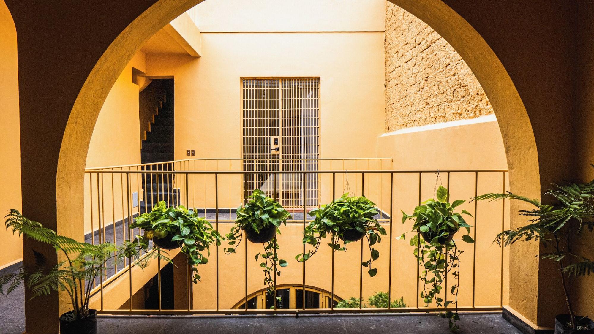 Variados (as) Casa Juan Álvarez