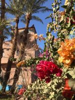 Alojamiento - Riad Zagora Palms