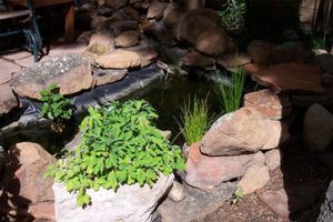 Alojamiento - Elden Trails Bed And Breakfast