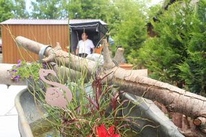 Alojamiento - Hotel Reke