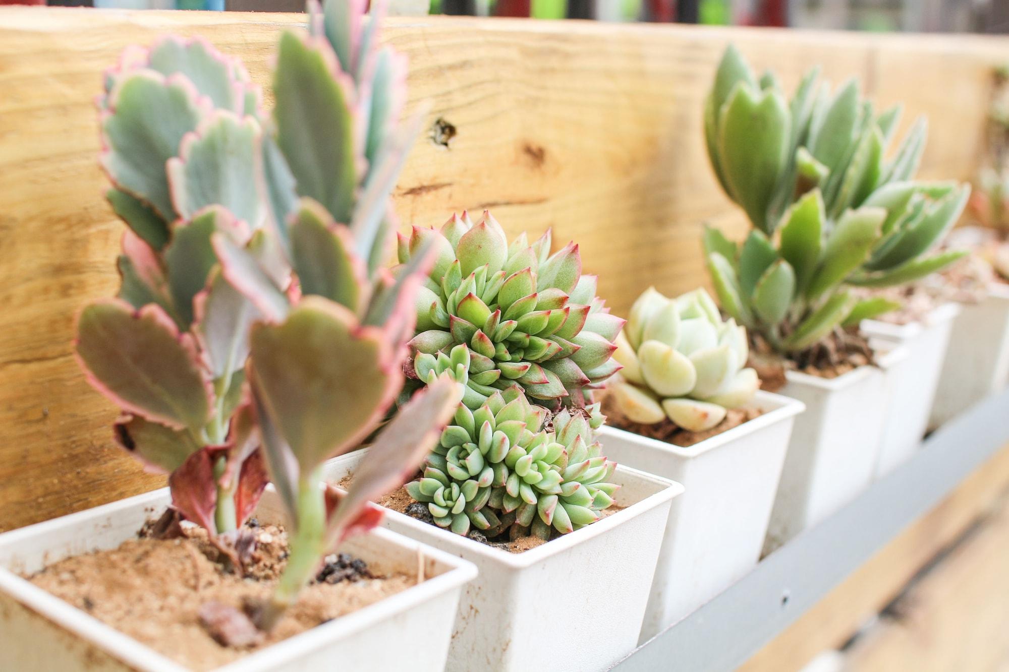 Vista Exterior T-Life Hostel