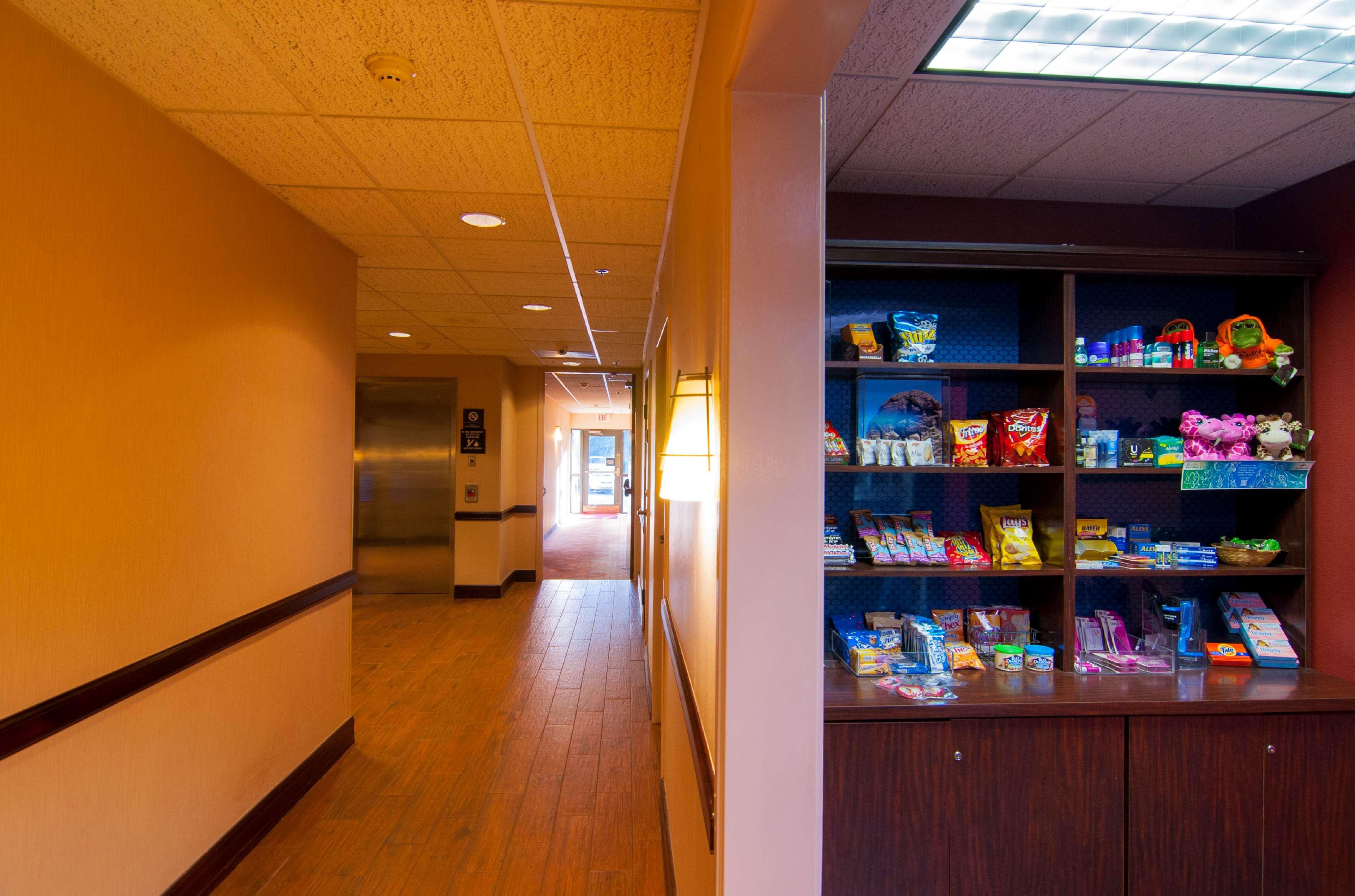 Restaurant Hampton Inn & Suites Tampa-North