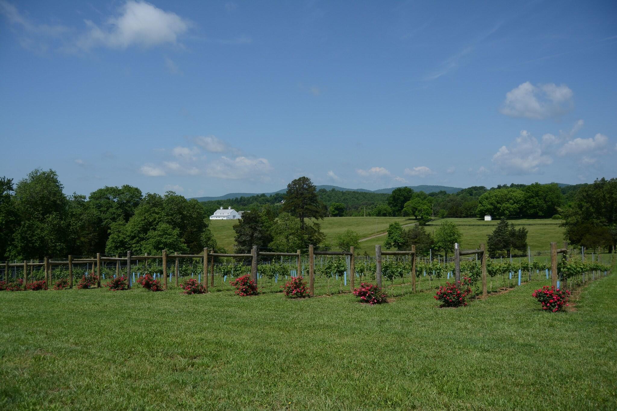 Vista Exterior Woodville Bed and Breakfast