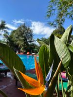 Alojamiento - Hotel Carmen