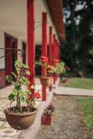 Alojamiento - Finca Cafetera El Balso