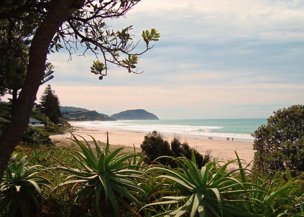 Playa Ocean Beach Motor Lodge
