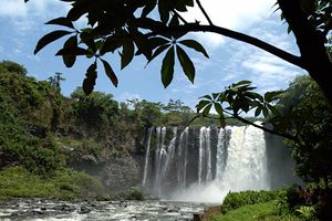 Actividad - La Mágica experiencia de Los Tuxtlas