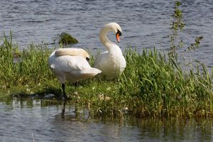 Alojamiento - Crover House Hotel & Golf Resort