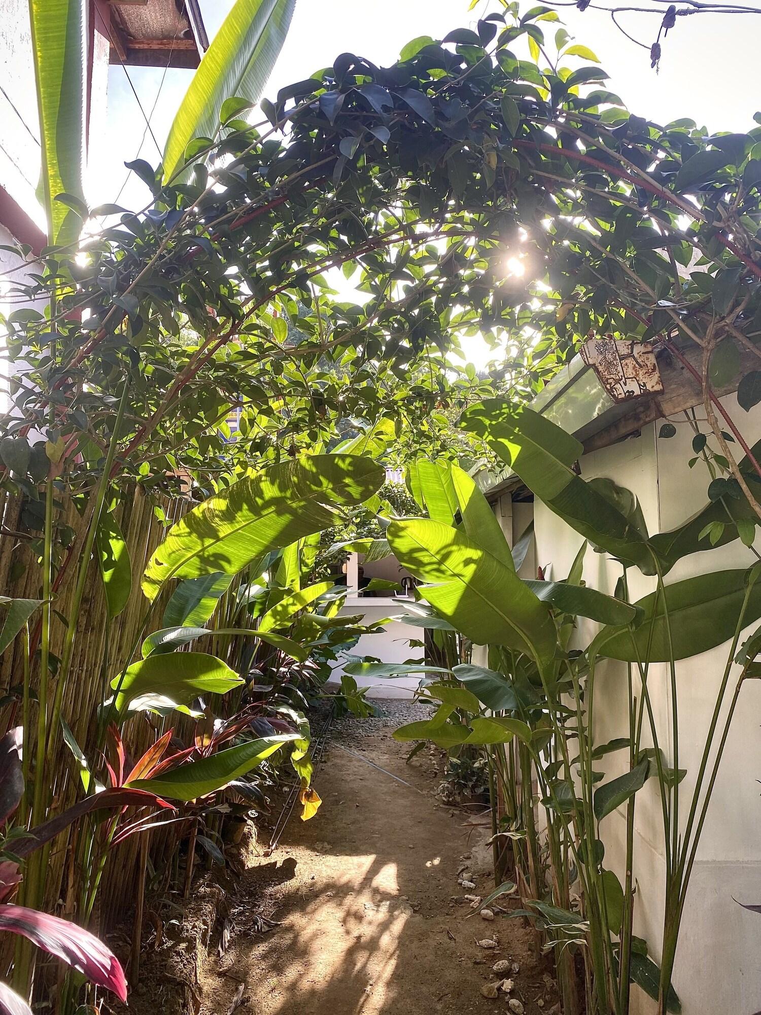 Vista Exterior Jungle Hostel El Nido