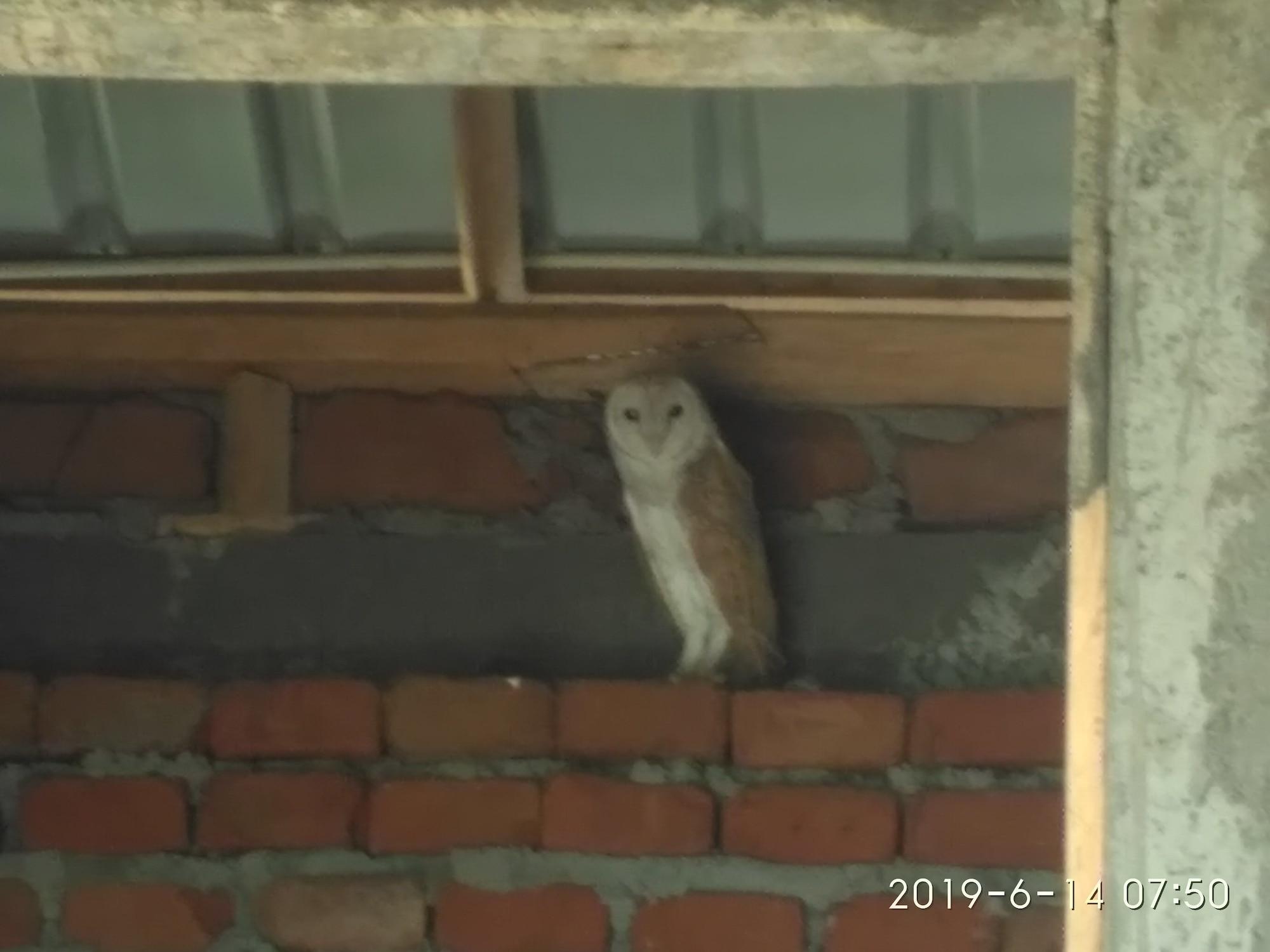 Vista Exterior Hotel Bundala Park - Hostel