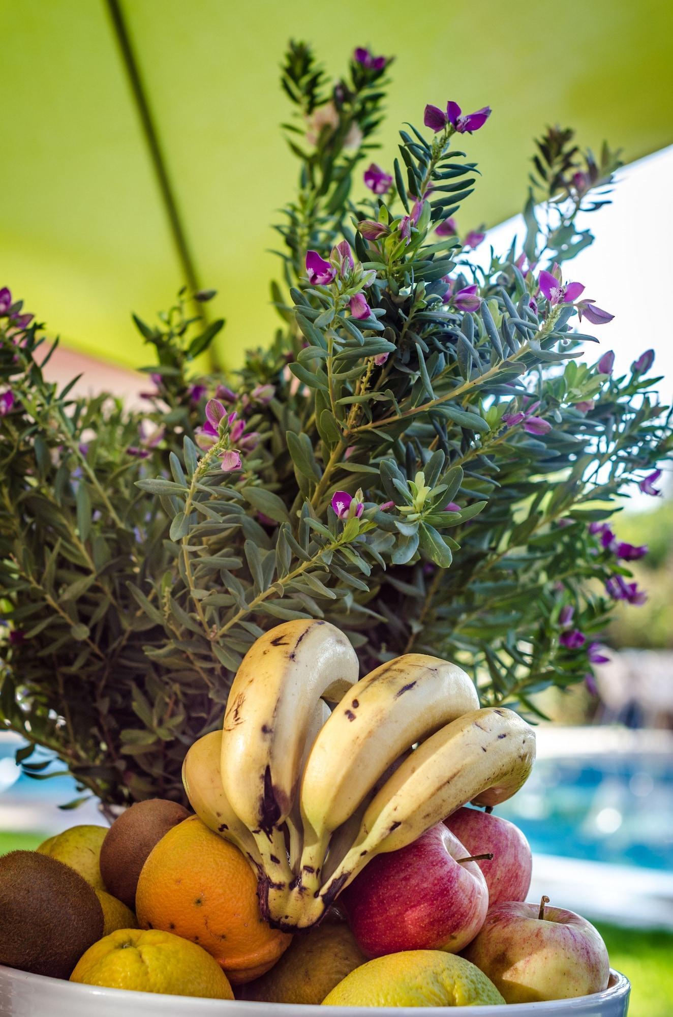 Restaurant Casa Taos