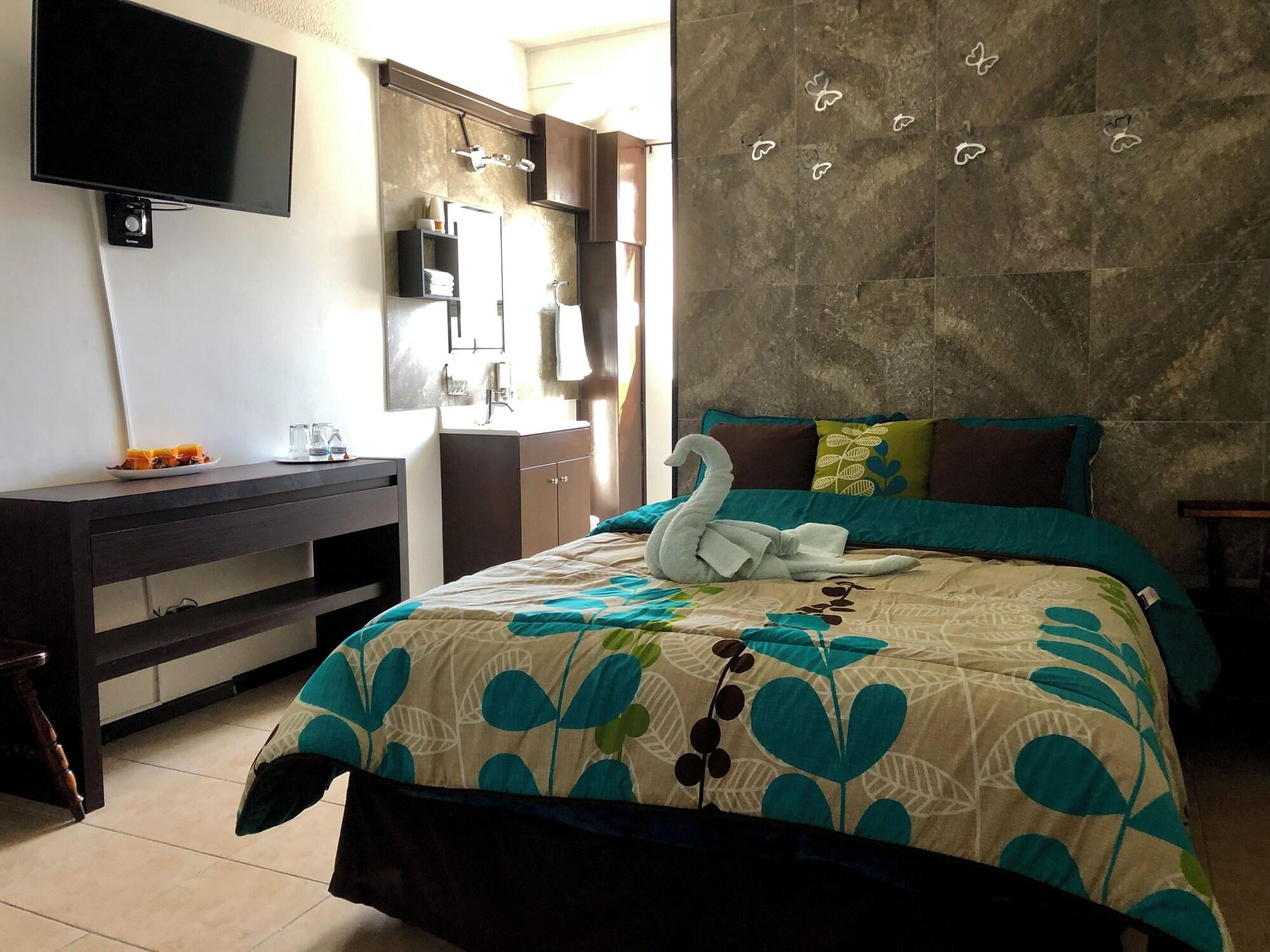 Habitación Cabo Tortuga Hotel Boutique
