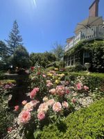 Alojamiento - The Inn on Knowles Hill