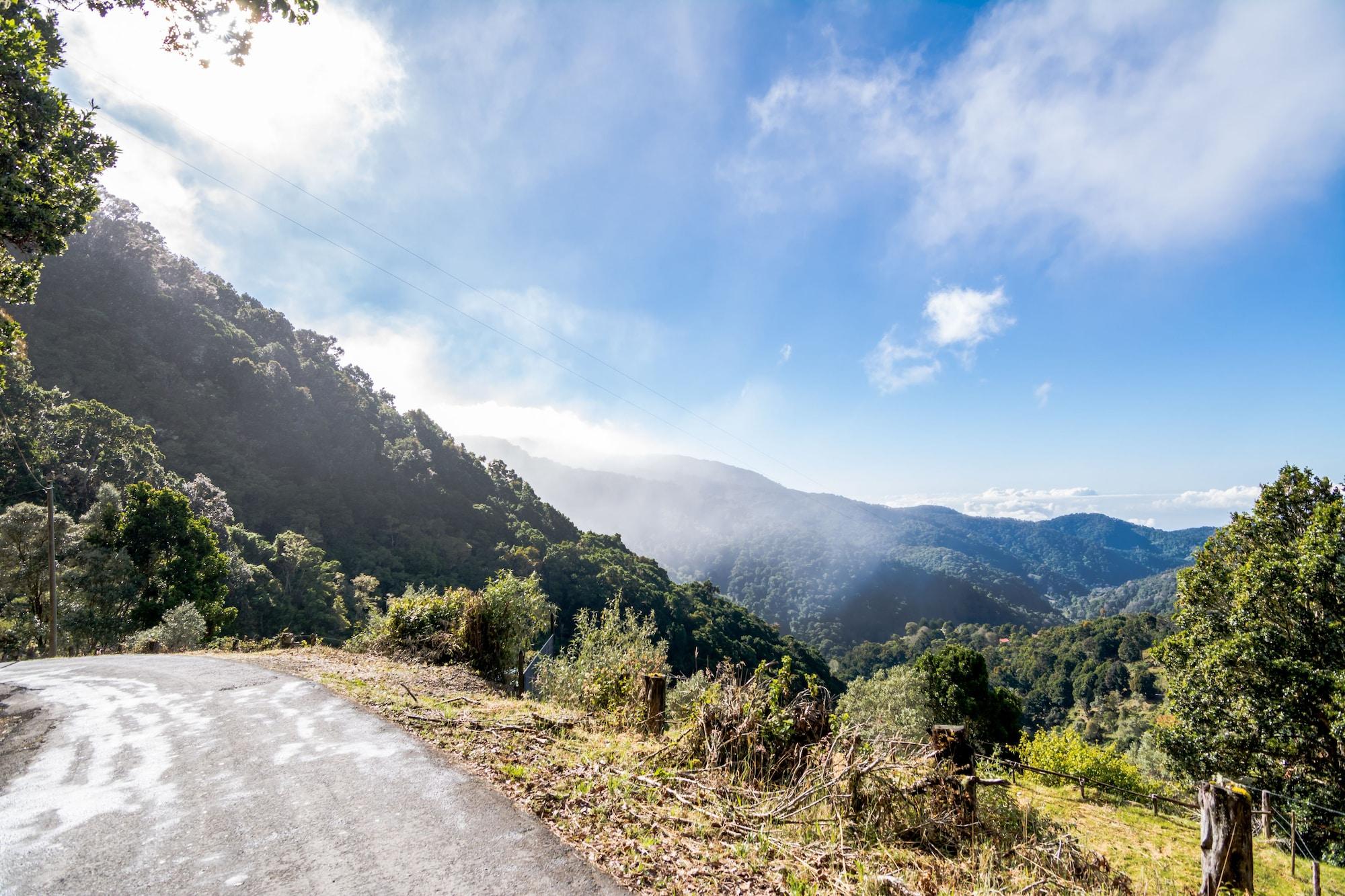 Vista Exterior Sueños del Bosque