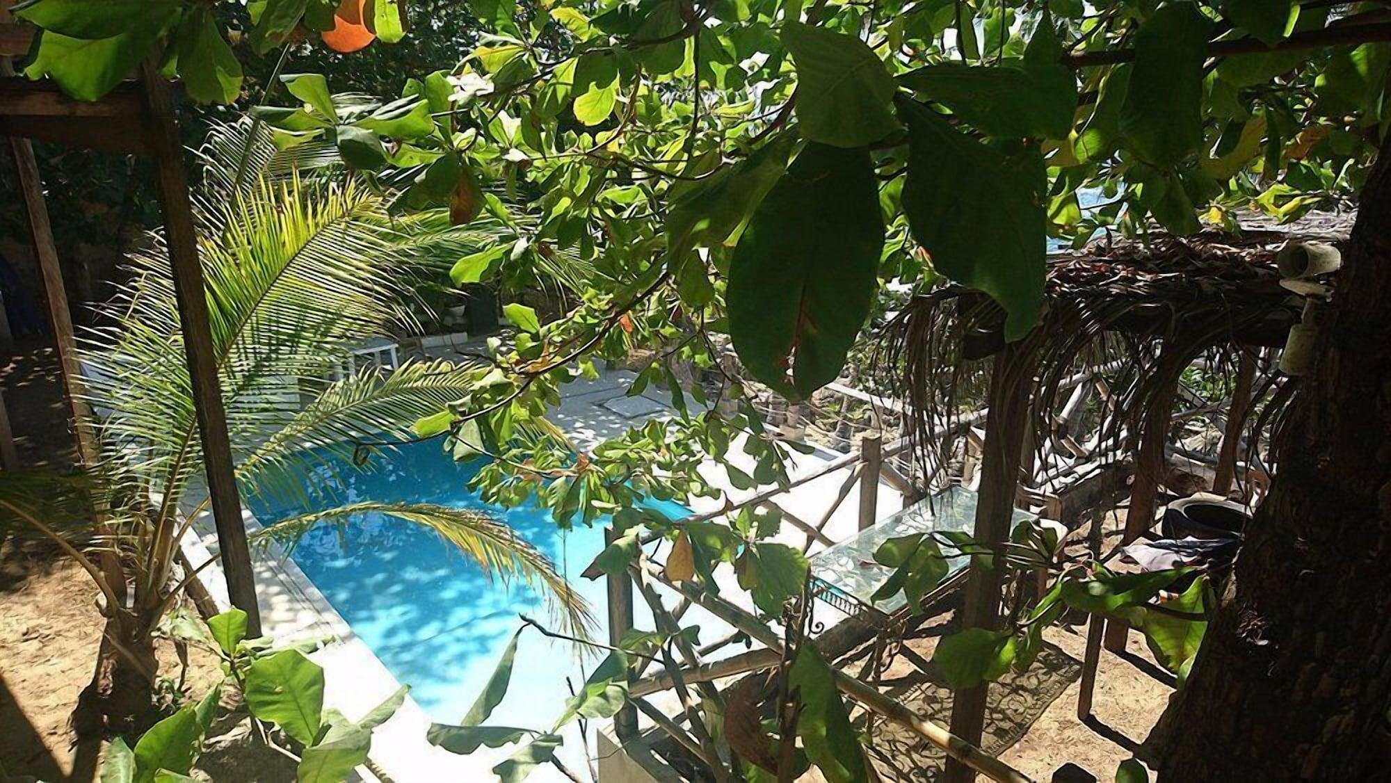 Comodidades del Alojamiento Cocos camp