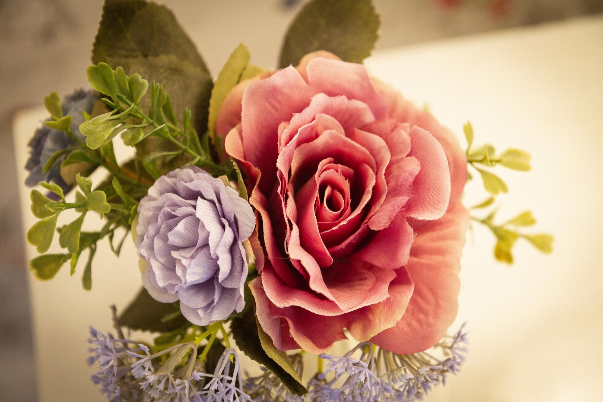 Varios Puddle Duck Lodge