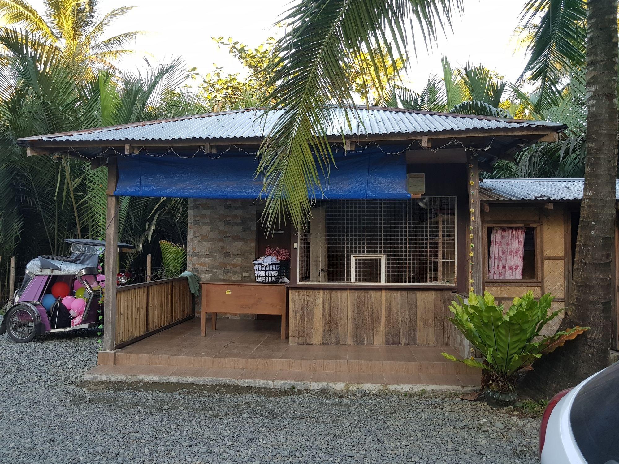 Vista Exterior Pleasant Valley Guesthouse - Baler
