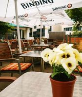 Alojamiento - Plaza Hotel & Living Frankfurt