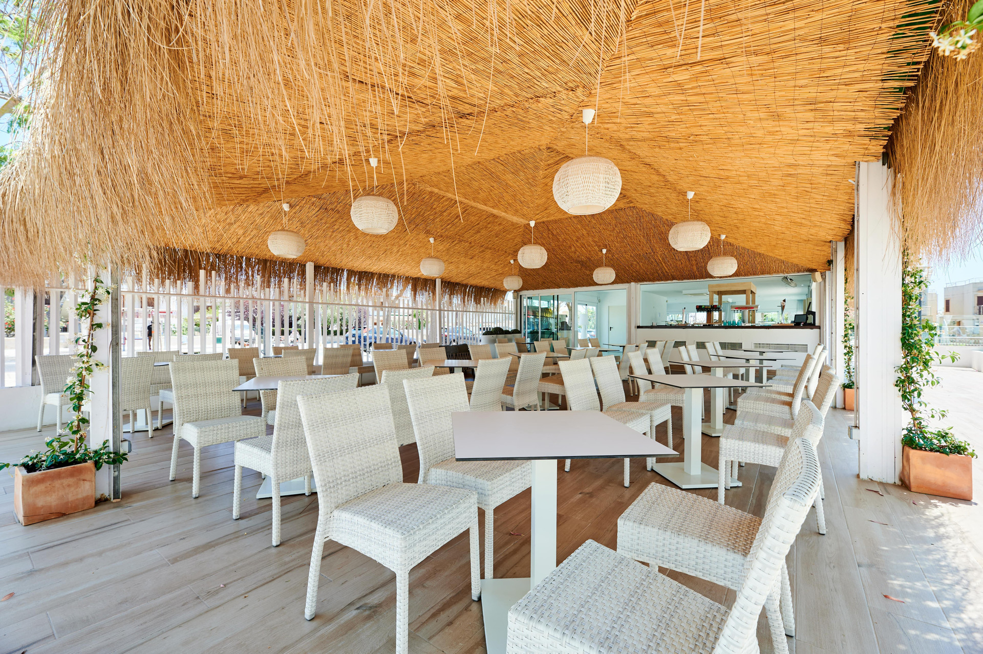 Bar/Salón Alua Boccaccio