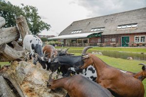 Alojamiento - Buiten Gewoon - Gewoon Buiten
