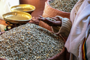 Actividad - Half Day Addis Ababa City Tour