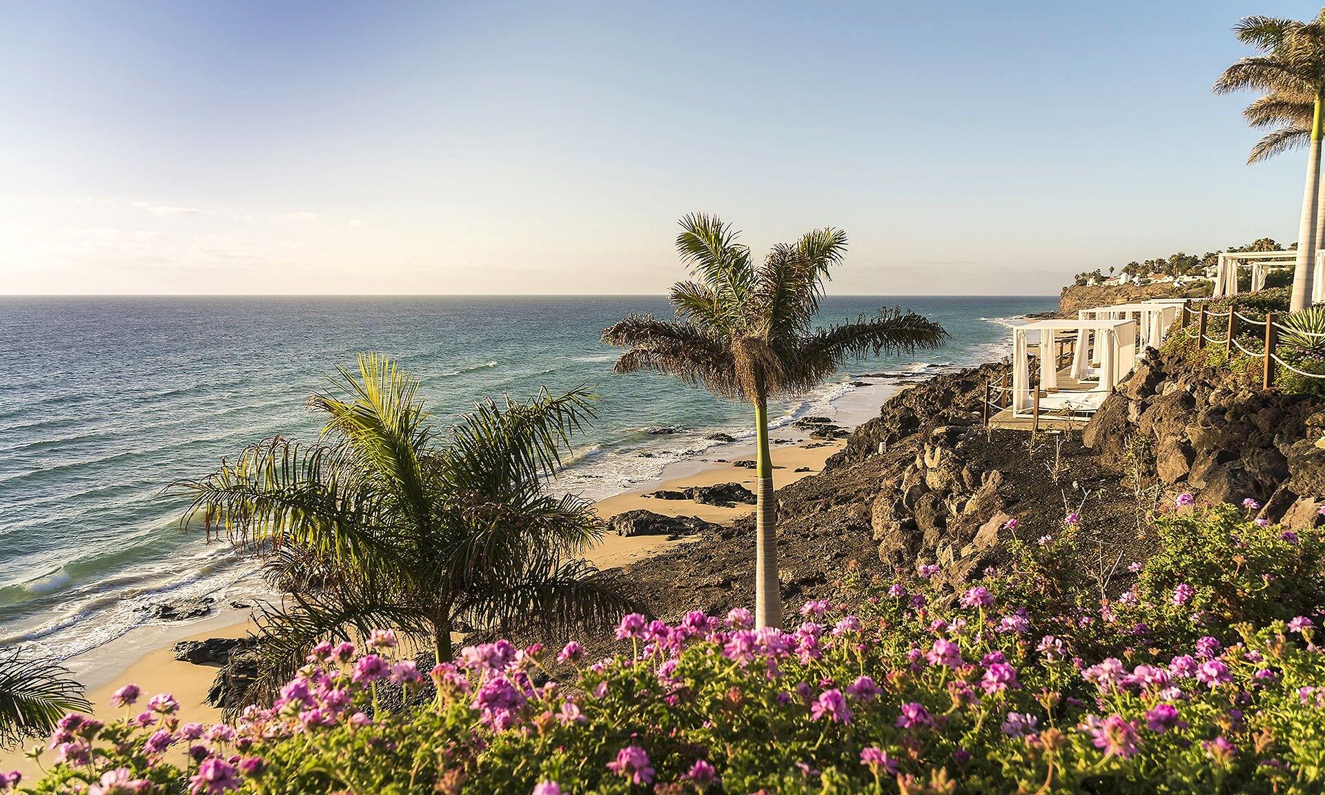 Playa Royal Palm Resort & Spa - Adults Only