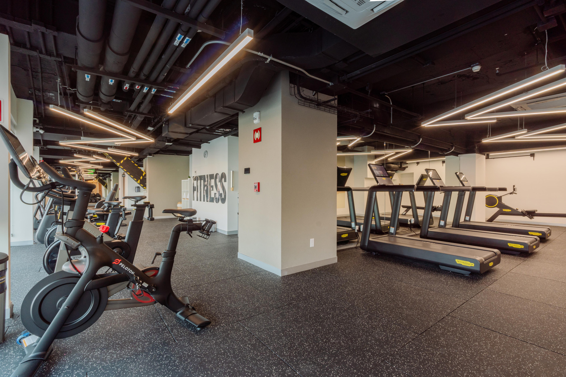 Gimnasio SUITE 2006