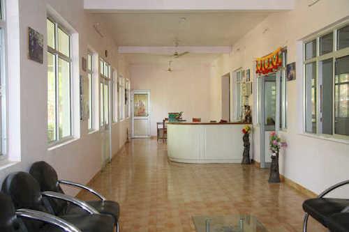 Habitación United-21 Tiger's Habitat
