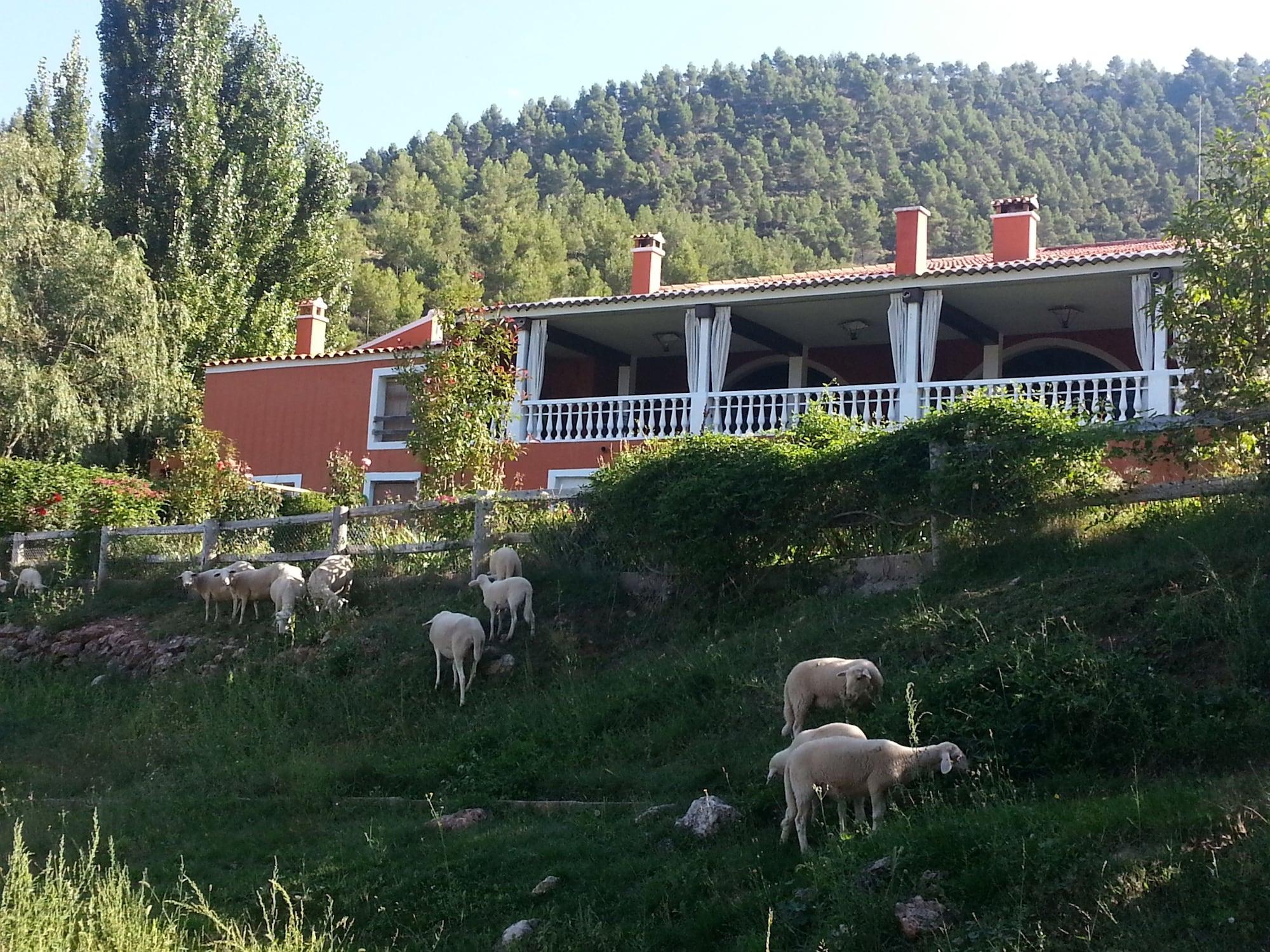 Vista Exterior Hospedium Hotel Val de Pinares