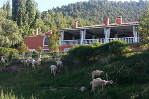Alojamiento - Hospedium Hotel Val de Pinares