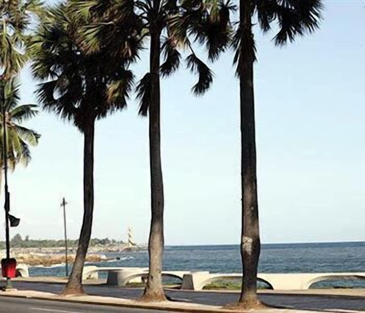 Playa Duque de Wellington