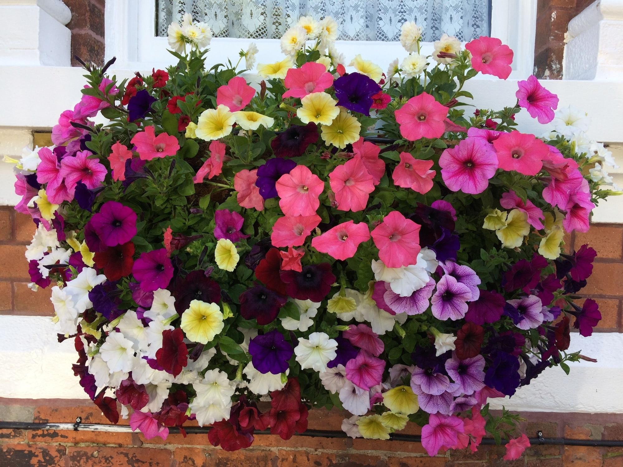 Vista Exterior Bowden Lodge Hotel