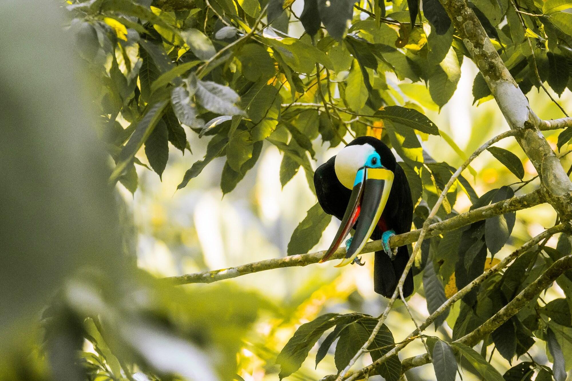 Área de recreação Hotel Enai