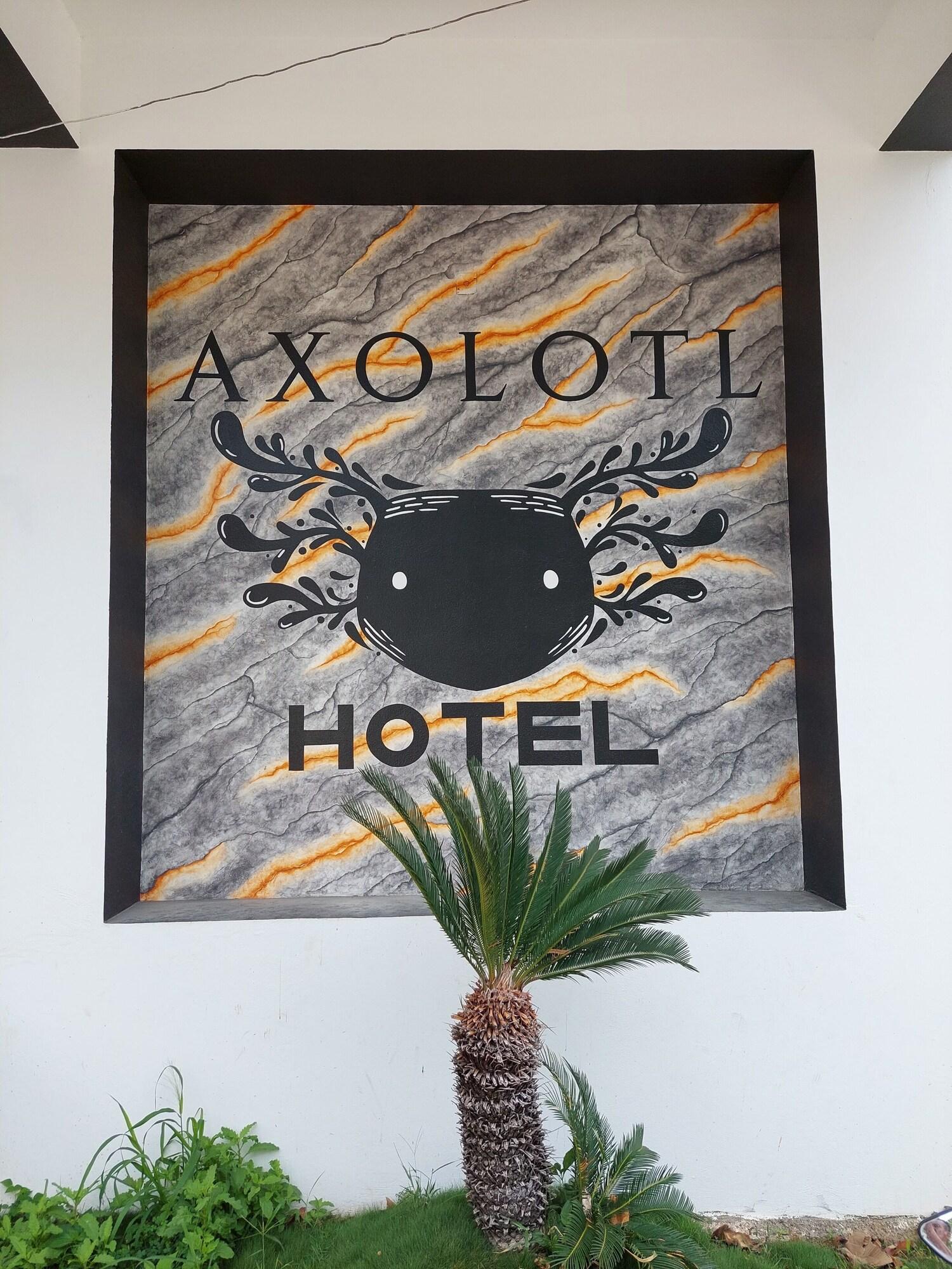 Vista Exterior Hotel Axolotl