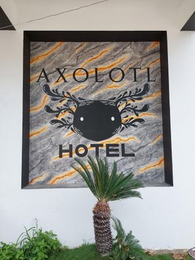 Hotel Axolotl - Hoteles pet friendly en Puerto Escondido, Oaxaca