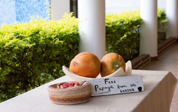 Lifestyle Hotel Juquilita - La Punta - Hoteles 4 estrellas en Puerto Escondido, Oaxaca