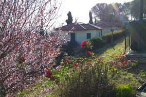 Alojamiento - Shoresh Green Hills Family Suites Hotel